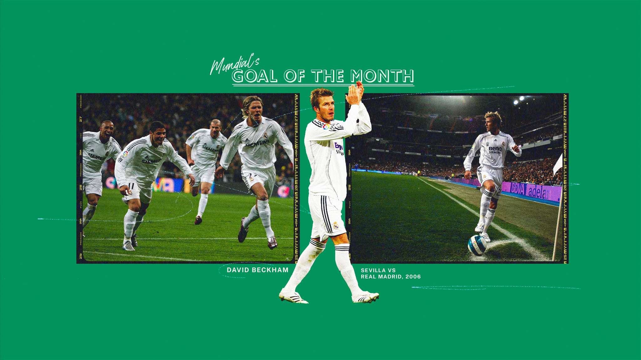 在追寻梦想 在追寻梦想